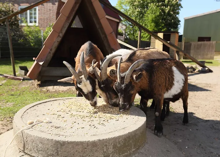 Фермерский дом Auf Dem Bio Obsthof *